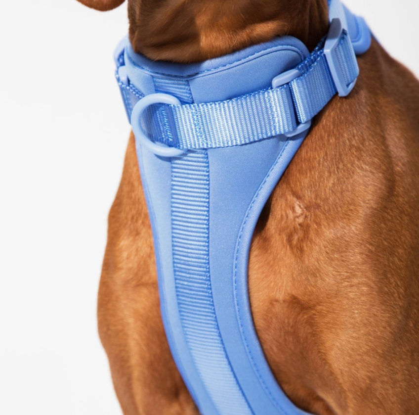 Basics Harness - Periwinkle