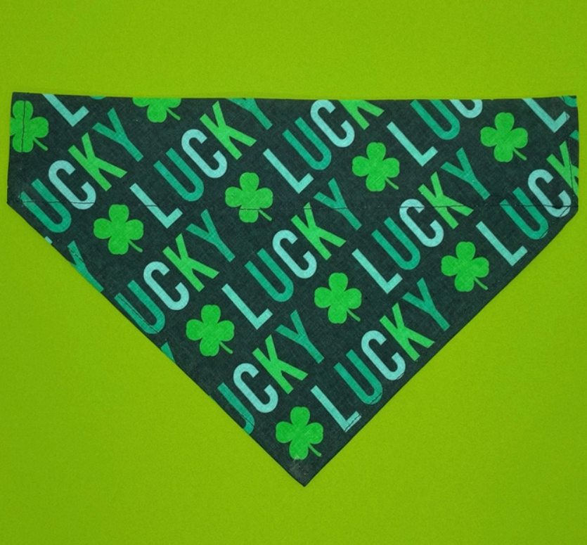 Lucky Dog Over the Collar Bandana