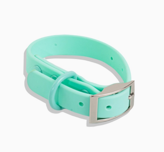 Turquoise Waterproof Collar