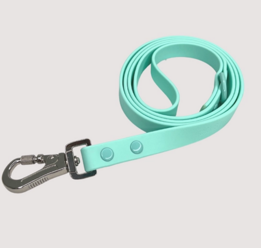 Turquoise Waterproof Dog Leash