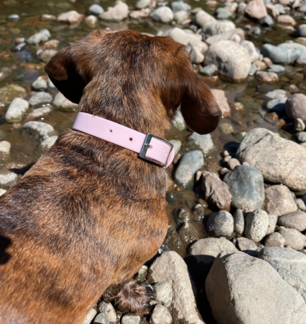 Pink Waterproof Collar