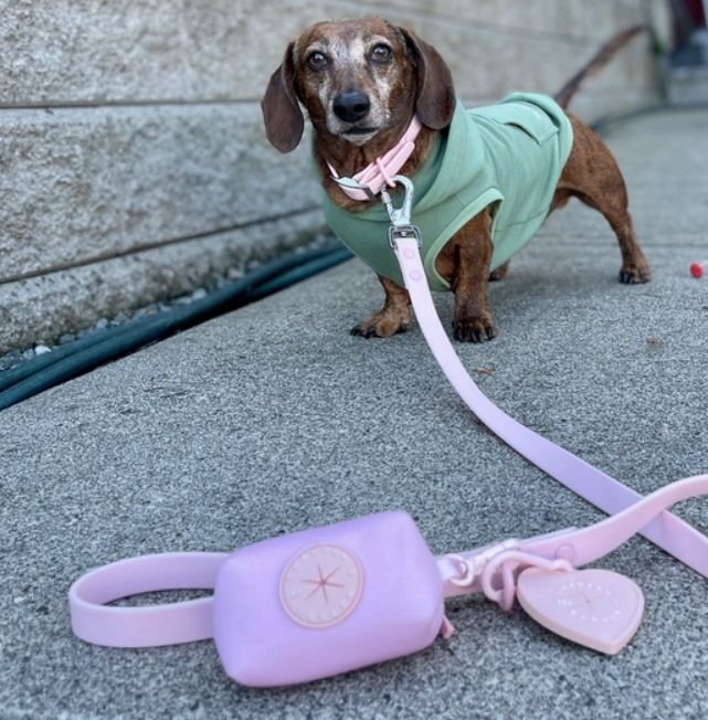 Pink Waterproof Dog Leash